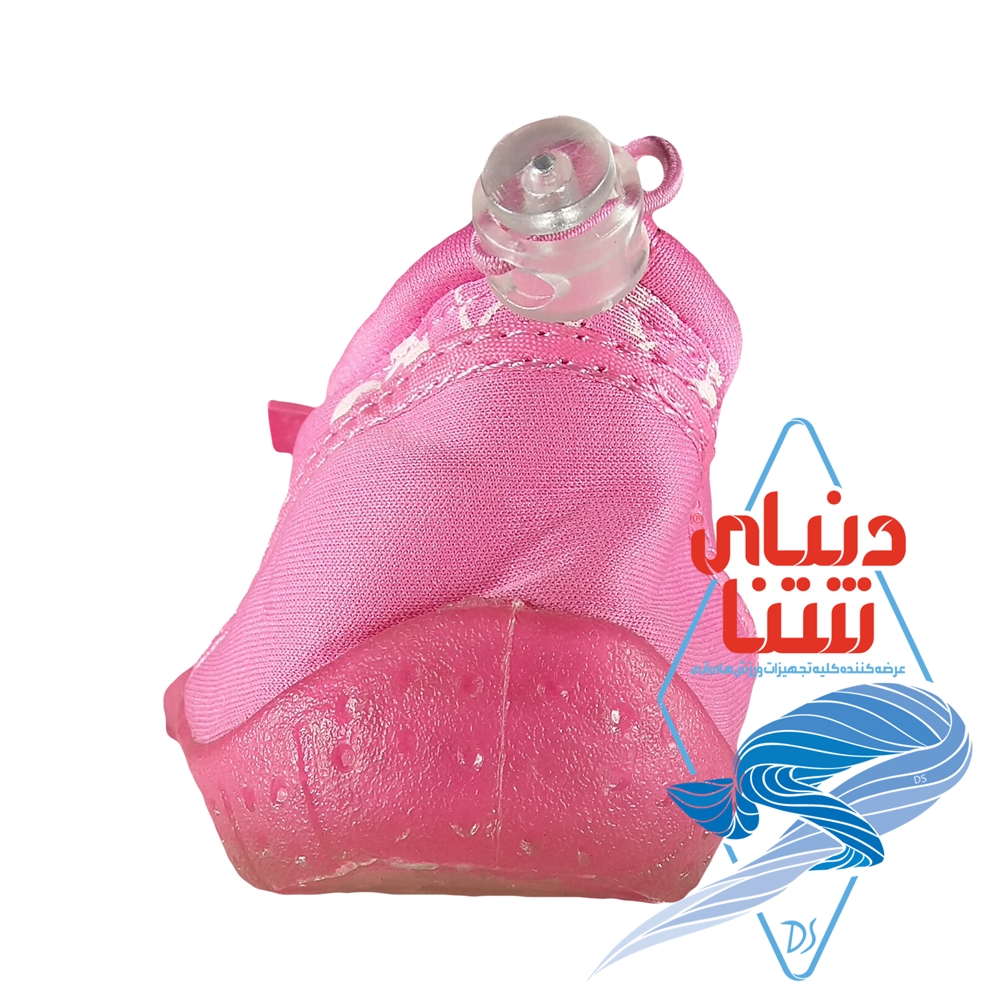کفش استخری