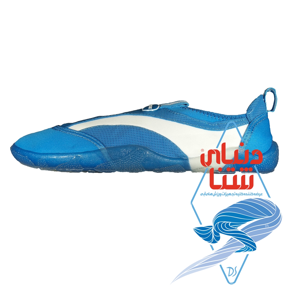 کفش استخری