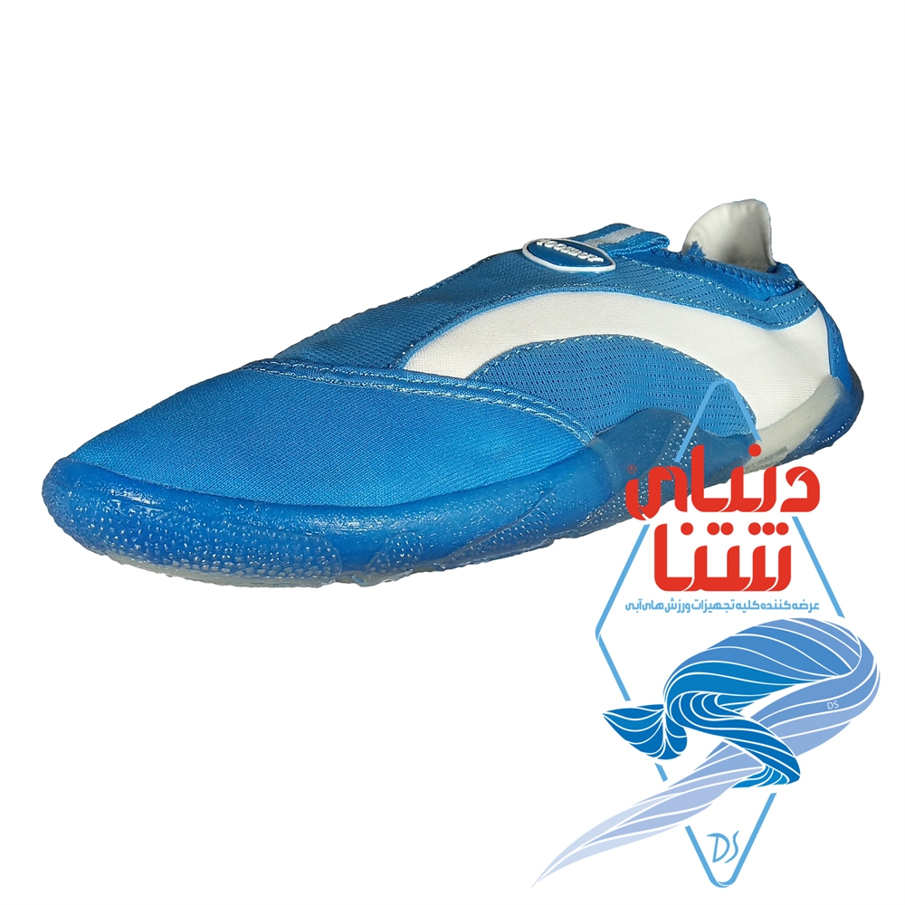 کفش استخری