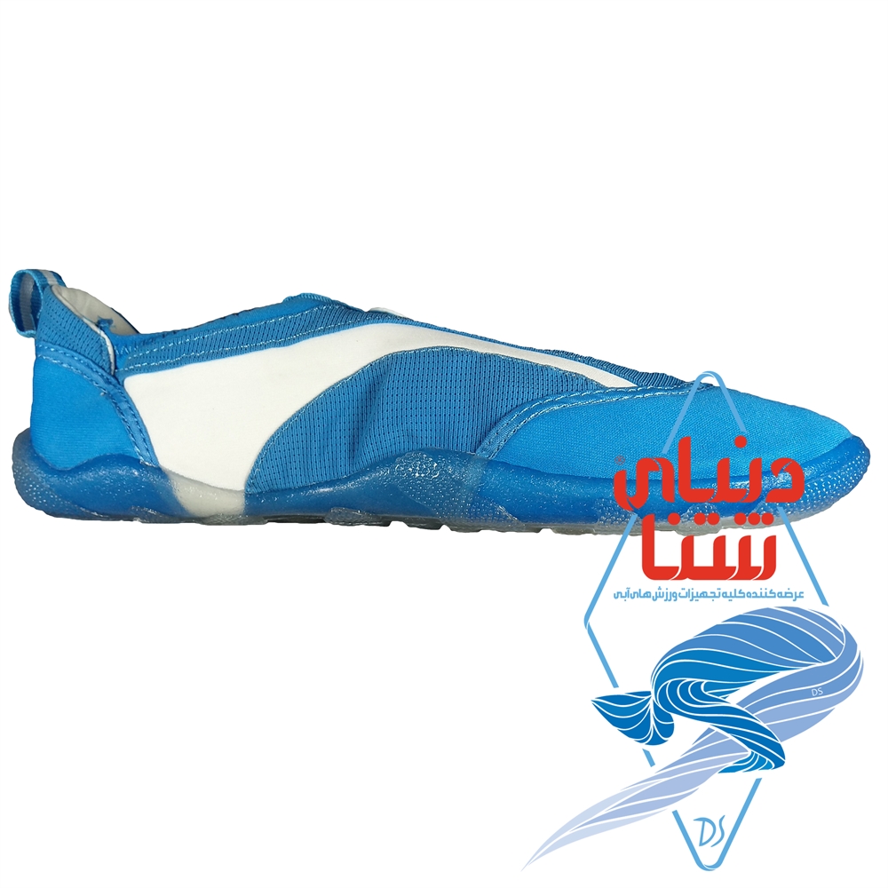 کفش استخری