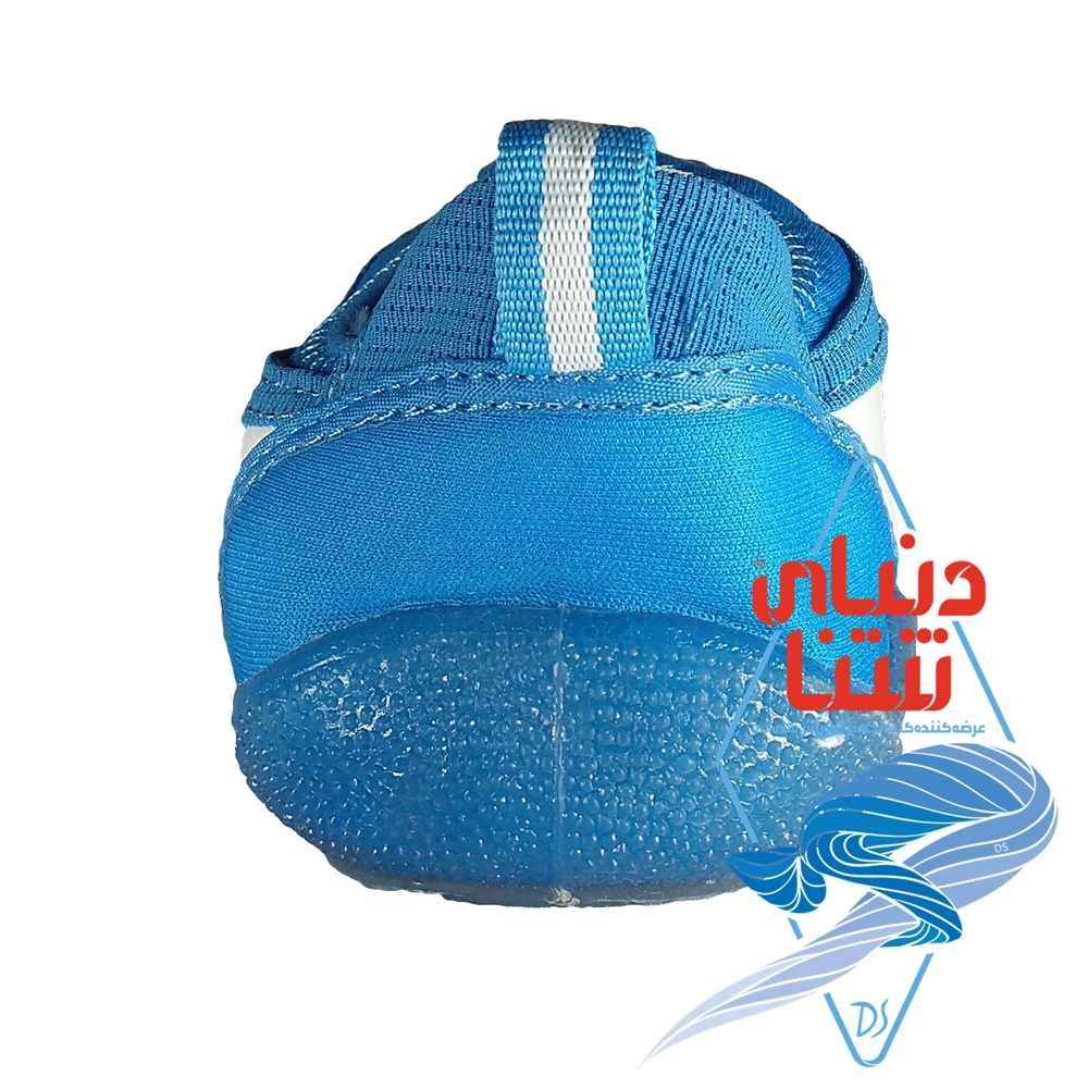 کفش استخری