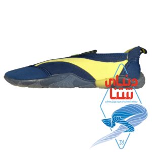 کفش استخری