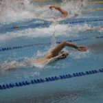 مسابقات شنای بزرگسالان جام همبستگی