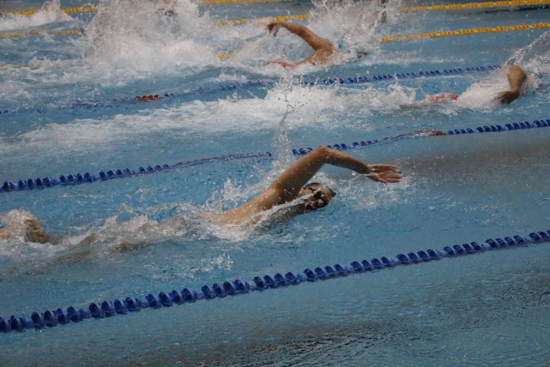 مسابقات شنای بزرگسالان جام همبستگی