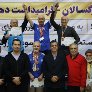 مسابقات شنای بزرگسالان جام همبستگی